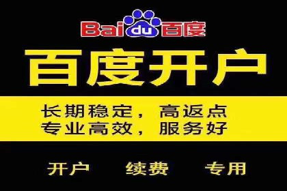 百度包年竞价优化：案例助力企业品牌崛起